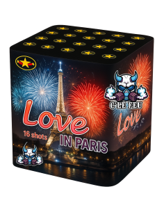 Love in Paris 16 coups
