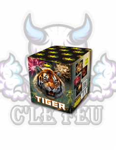 Tiger 16 coups